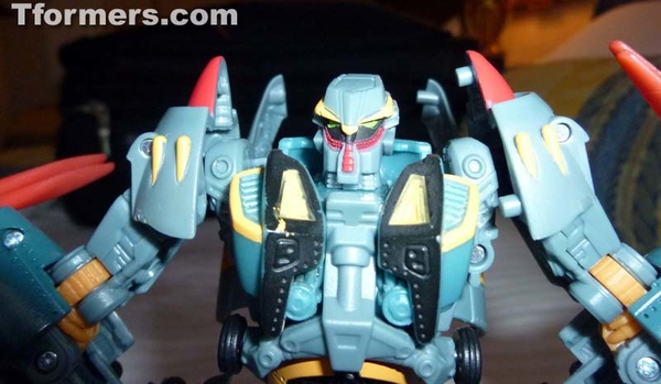 BotCon 2013   Convention Termination And Attendee Exclusives Figures Images Day 1 Gallery  (59 of 170)